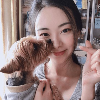 Telegram profile photo for 丁圖分享區