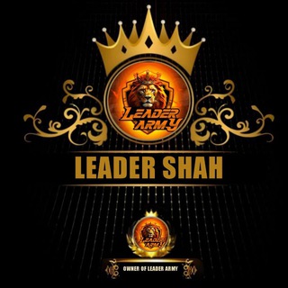 Telegram group profile photo for LEADER SHAH BUG BOT GROUP..!☠