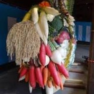 Telegram profile photo for Страна восходящей редиски