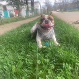 Telegram profile photo for Кадры ушастого