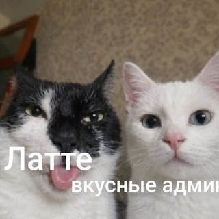 Telegram profile photo for отзывы