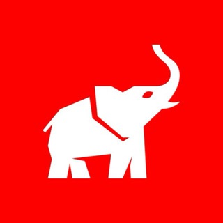 Telegram profile photo for Animal Político