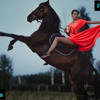 Telegram group profile photo for Бесплатный Пиар🧚♀