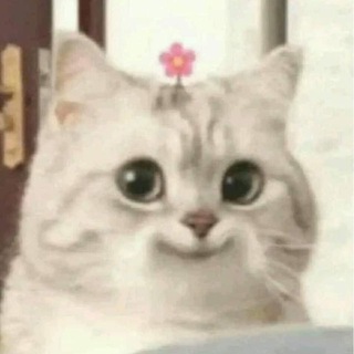 Telegram group profile photo for детивишки
