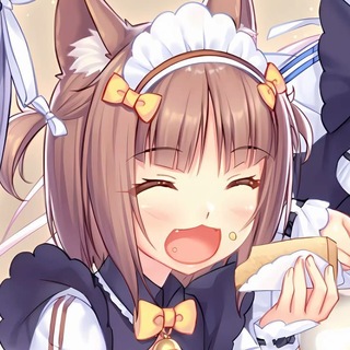 Telegram profile photo for мочча чан прайс