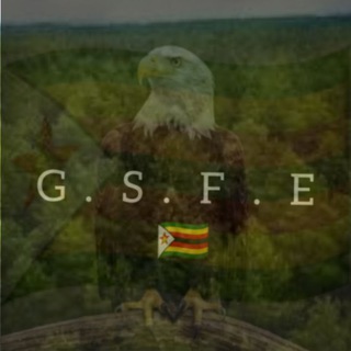 Telegram profile photo for Ğ.Š.F.Ê ŻÎMBÅBWĘ 🇿🇼