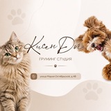 Telegram profile photo for КисенДог