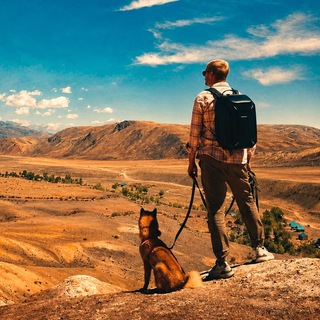 Telegram profile photo for Серёжа гуляет с собакой