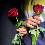 Telegram profile photo for حــ love ـب وحــ warـرب