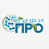 Telegram profile photo for Bifipro