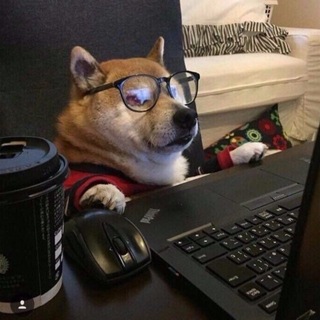 Telegram profile photo for домик мальтипу