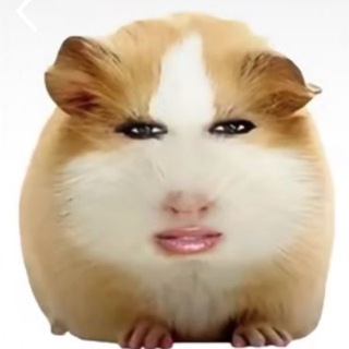 Telegram profile photo for Unwellnes ⦻ 16+