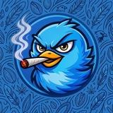 Telegram profile photo for AlphaScreener