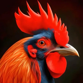Telegram profile photo for 广西南宁全区青楼群