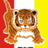 Telegram profile photo for Тигрёнок, каратэ Одесса