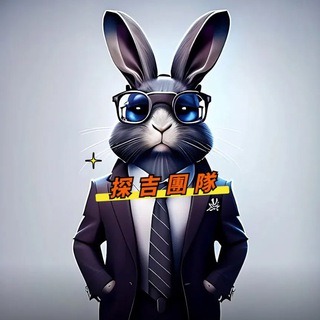 Telegram profile photo for 《探吉團隊》