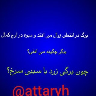 Telegram profile photo for داروهای گیاهی علی بابا