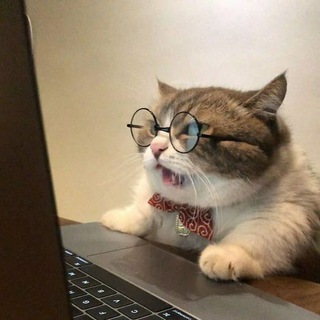 Telegram profile photo for 💬