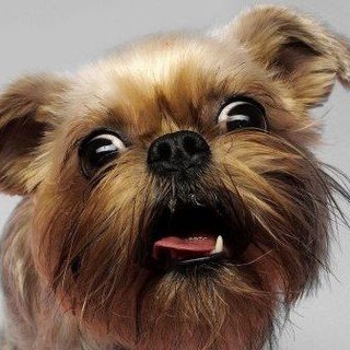 Telegram profile photo for Слез с хмурого