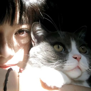 Telegram profile photo for INFO ARISA PORT