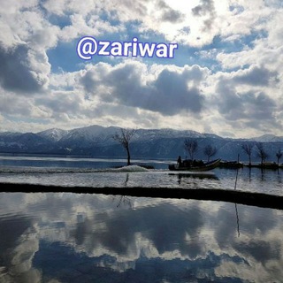 Telegram profile photo for کانال خبری زریبار