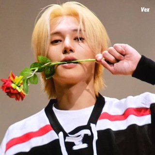 Telegram profile photo for woodiscuss | woosan