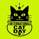 Telegram profile photo for internationalcatdayonrobinhood
