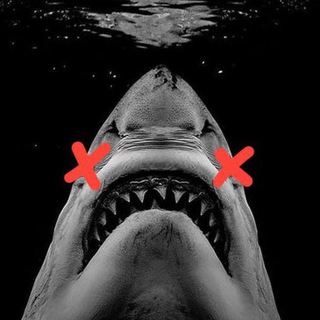 Telegram profile photo for SHRKSQD | GATEWAY