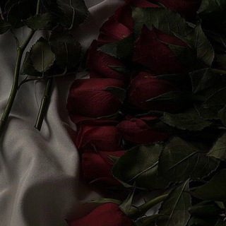 Telegram profile photo for dark payment 🥀