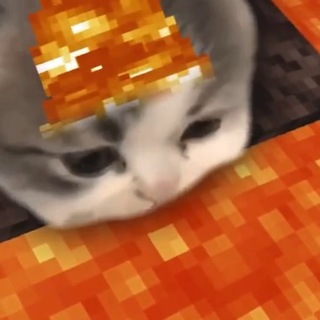 Telegram profile photo for хтивість і розпуста