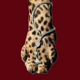 Telegram profile photo for FOREVERMORE LUXE