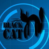 Telegram profile photo for #BlackCat#
