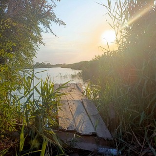 Telegram profile photo for Буоргики и Геколики
