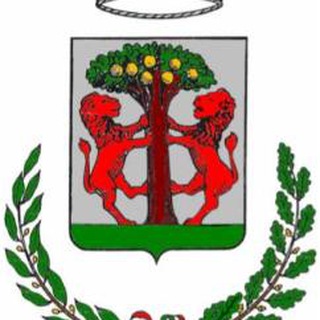 Telegram profile photo for Comune di Gravina di Catania
