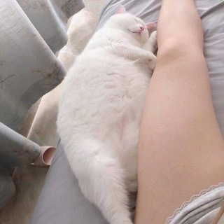 Telegram profile photo for 格温素材 人物包装 人设套图