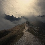 Telegram profile photo for Fresh