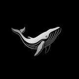Telegram profile photo for Nordwhale Capital