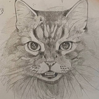 Telegram profile photo for Кисин шкаф