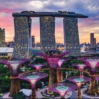 Telegram profile photo for 🇸🇬 Singapore Jobs 🇸🇬