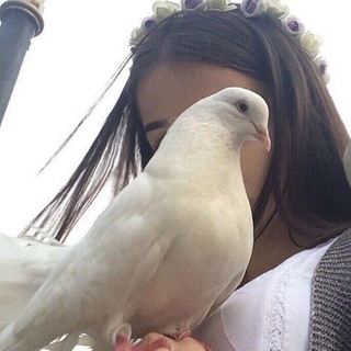 Telegram profile photo for غَياهب