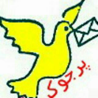 Telegram profile photo for پرجوک شاهرخت