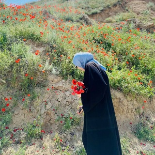 Telegram profile photo for Mening sahifam