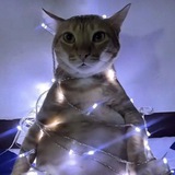 Telegram profile photo for Отзывы
