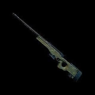 Telegram profile photo for AWM