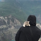 Telegram profile photo for Nūrly jürek🫀