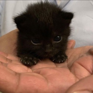 Telegram profile photo for грязно и больно
