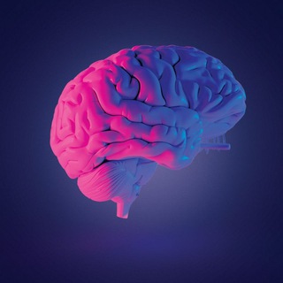 Telegram profile photo for Brain and Eyeball Anatomy