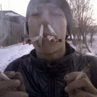 Telegram profile photo for Хата квикси