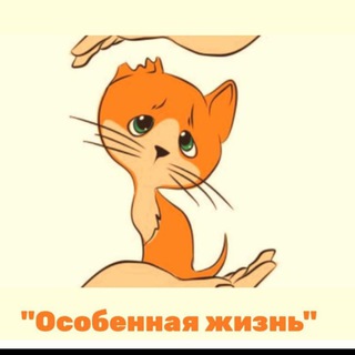 Telegram profile photo for Животные приюта "Особенная жизнь" Лечим, пристраиваем вместе с вами.❤️
