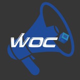 Telegram profile photo for WavesOnChain News